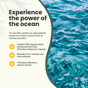 Organic Sea Moss capsules goyu superfood supplement