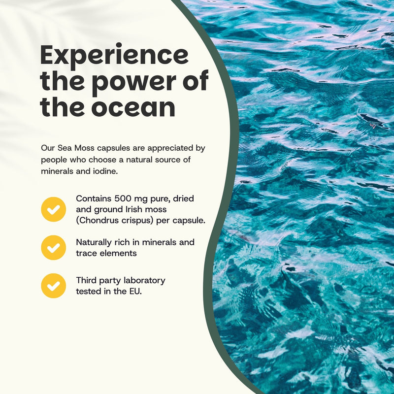 Organic Sea Moss capsules goyu superfood supplement