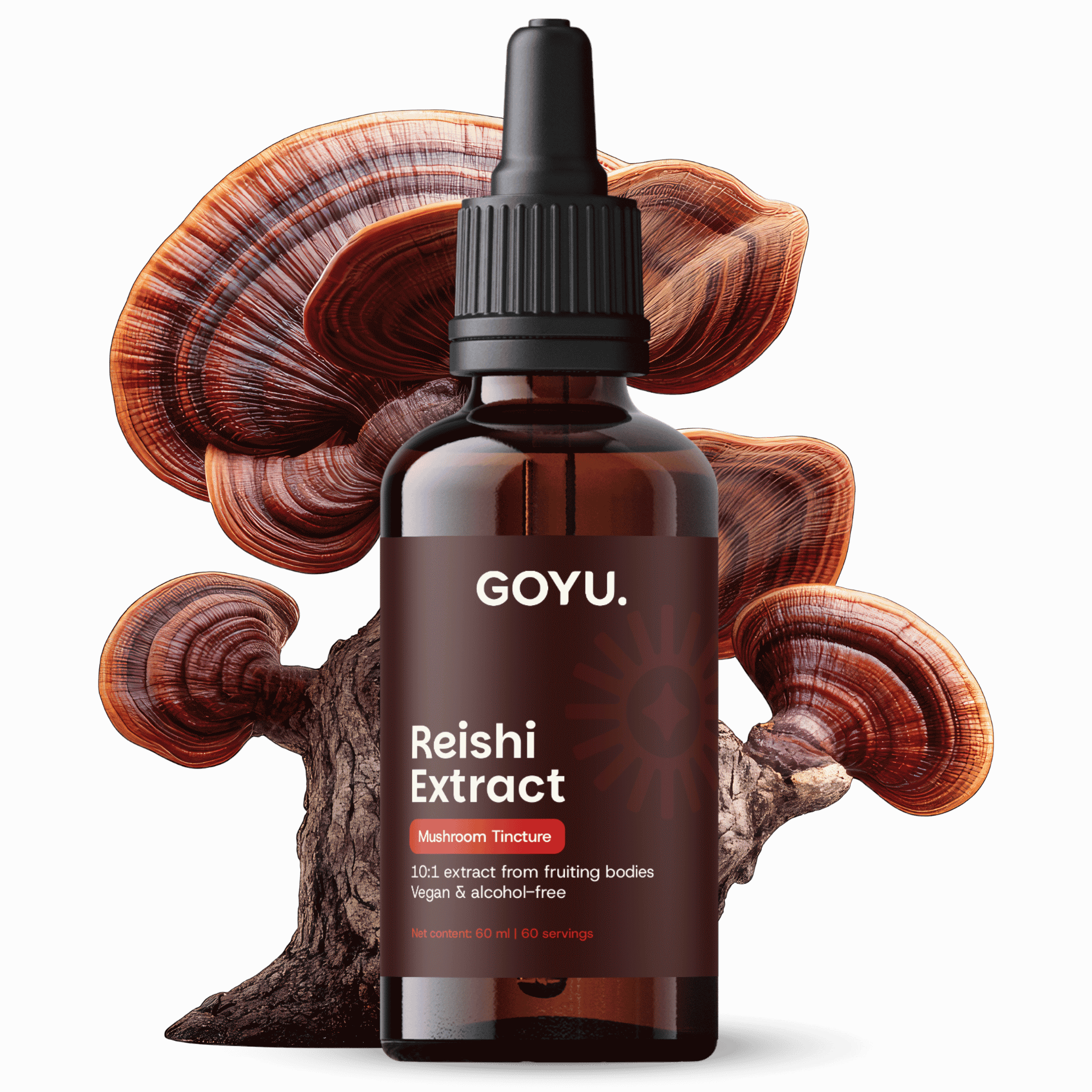 Teinture de Reishi