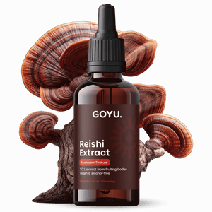 Teinture de Reishi