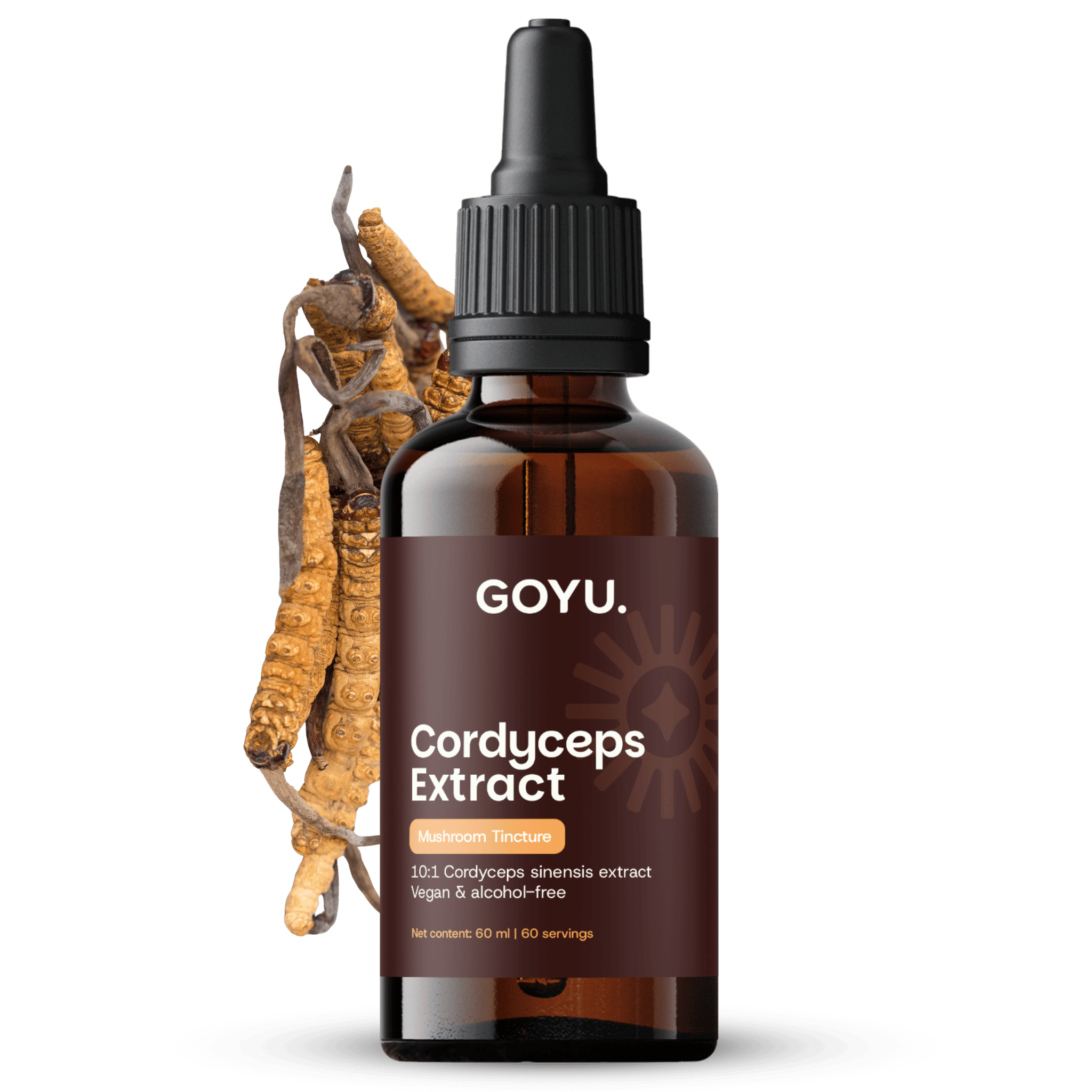 Teinture de Cordyceps