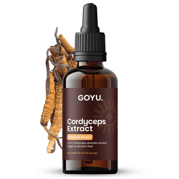 Teinture de Cordyceps