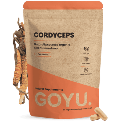 Cordyceps Capsules 500 mg Biologisch