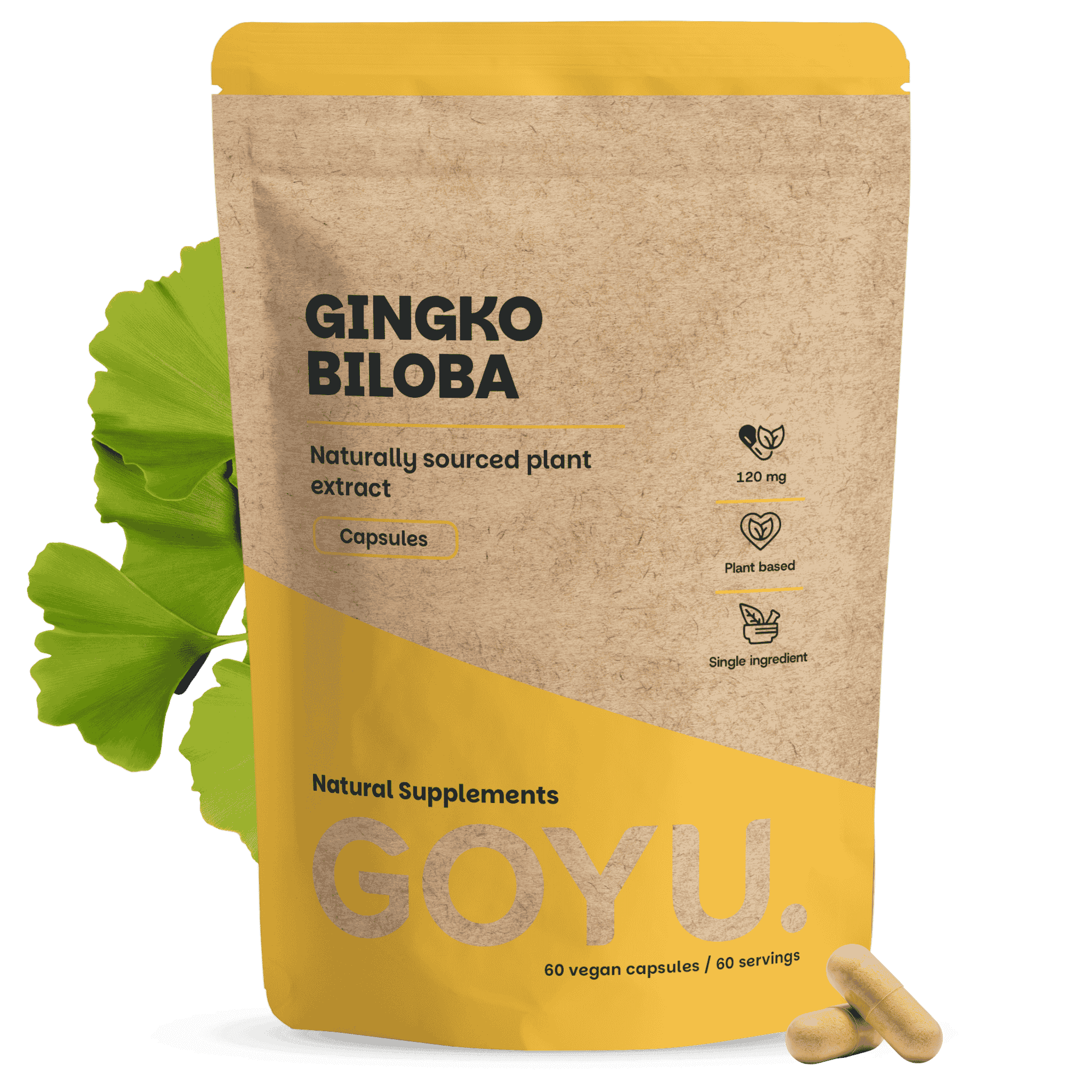 Ginkgo Biloba Kapseln 100 mg