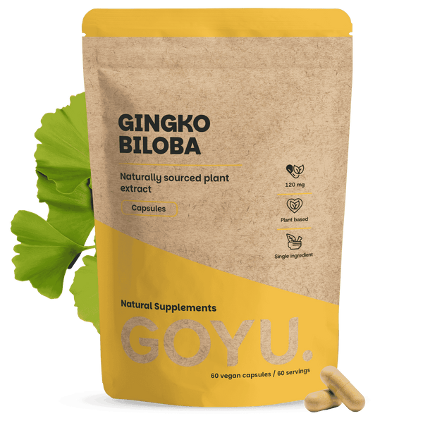 Ginkgo Biloba Kapseln 100 mg