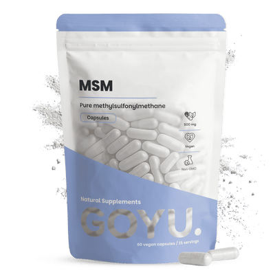 MSM Capsules 500 mg