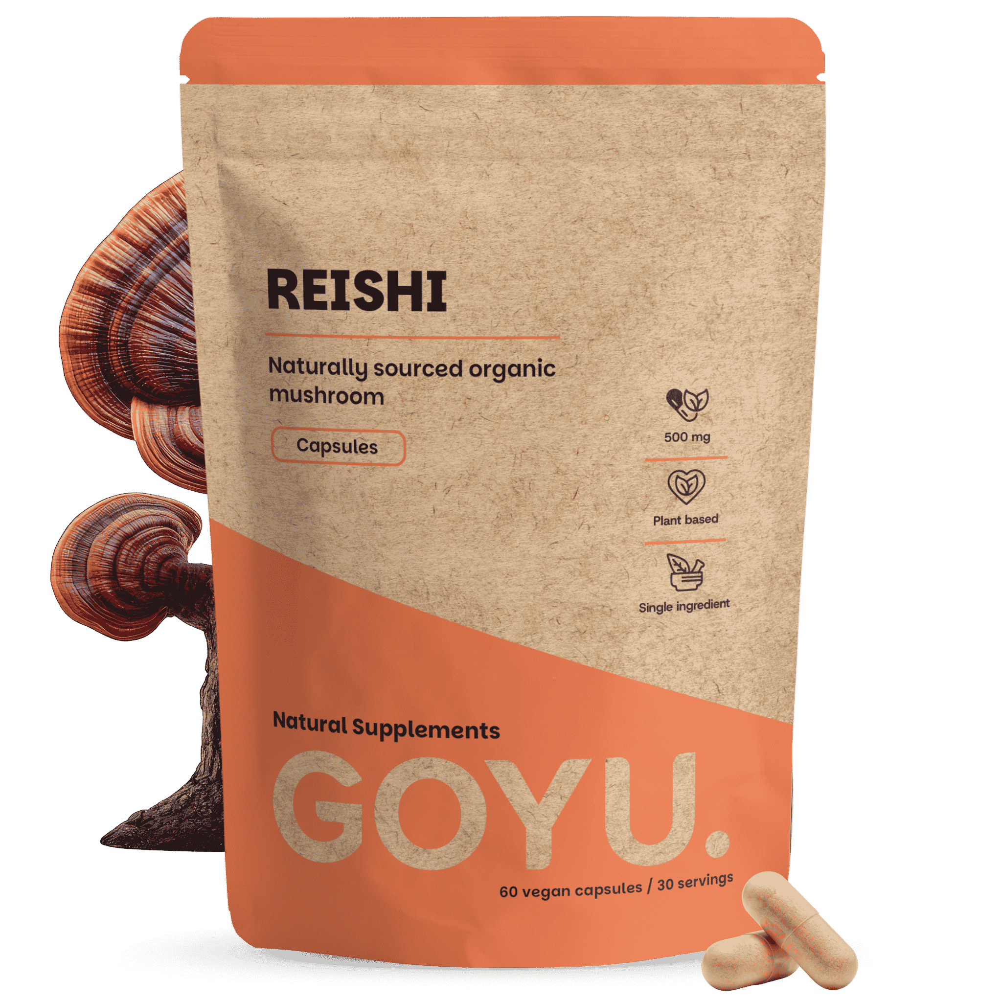 Reishi Capsules 500 mg Biologisch