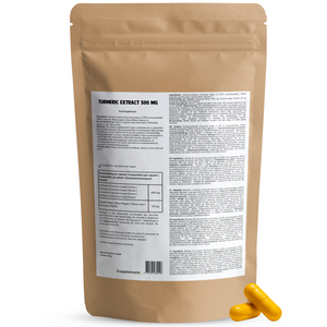 Kurkuma Kapseln 600 mg Bio