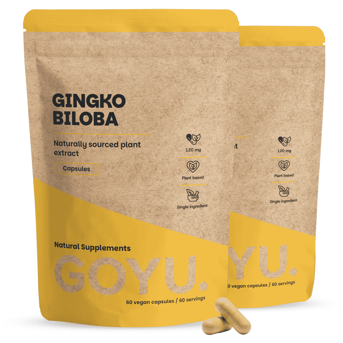 Ginkgo Biloba Kapseln 100 mg
