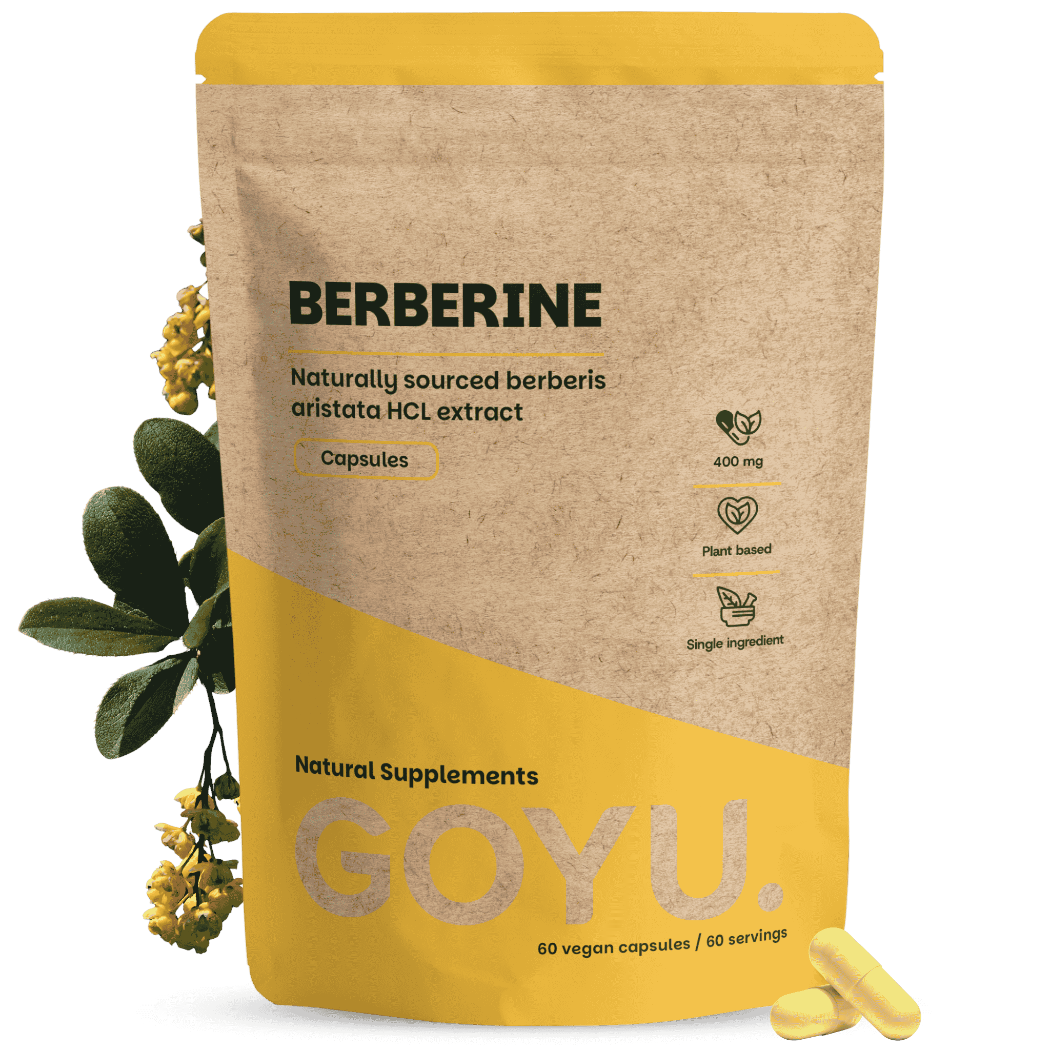 Berberin Extrakt Kapseln 400 mg