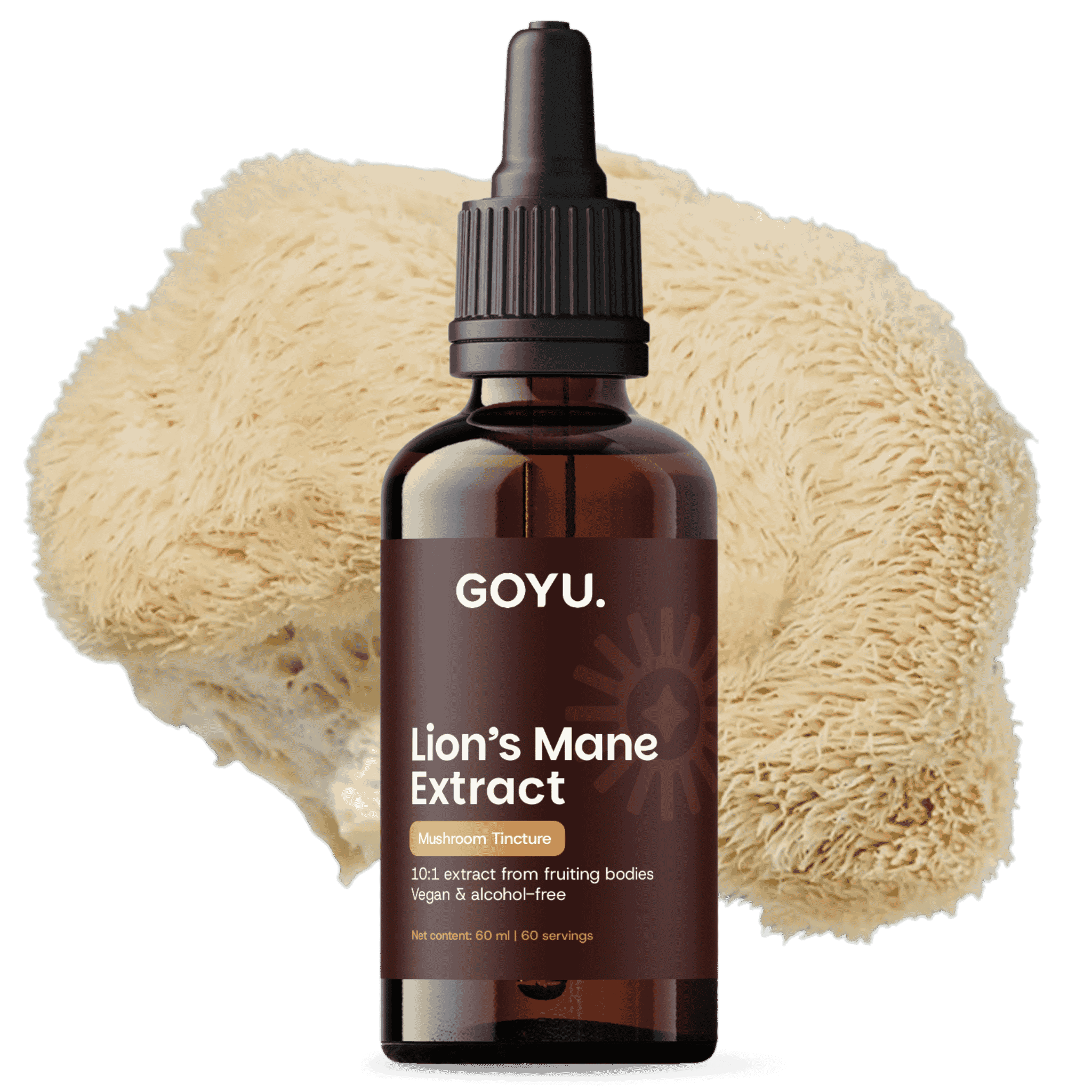 Lion's Mane Tincture