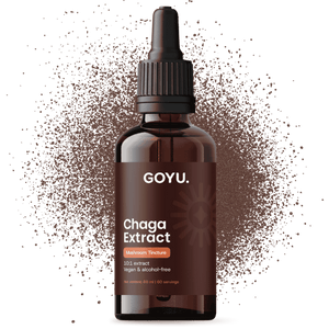 Teinture de Chaga