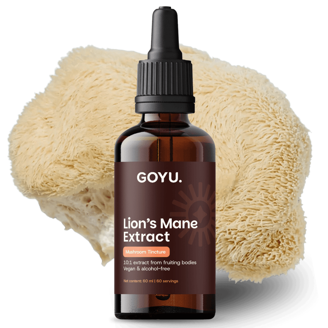 Lion's Mane Tincture