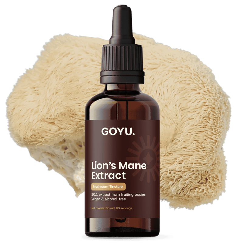 Lion's Mane Tincture