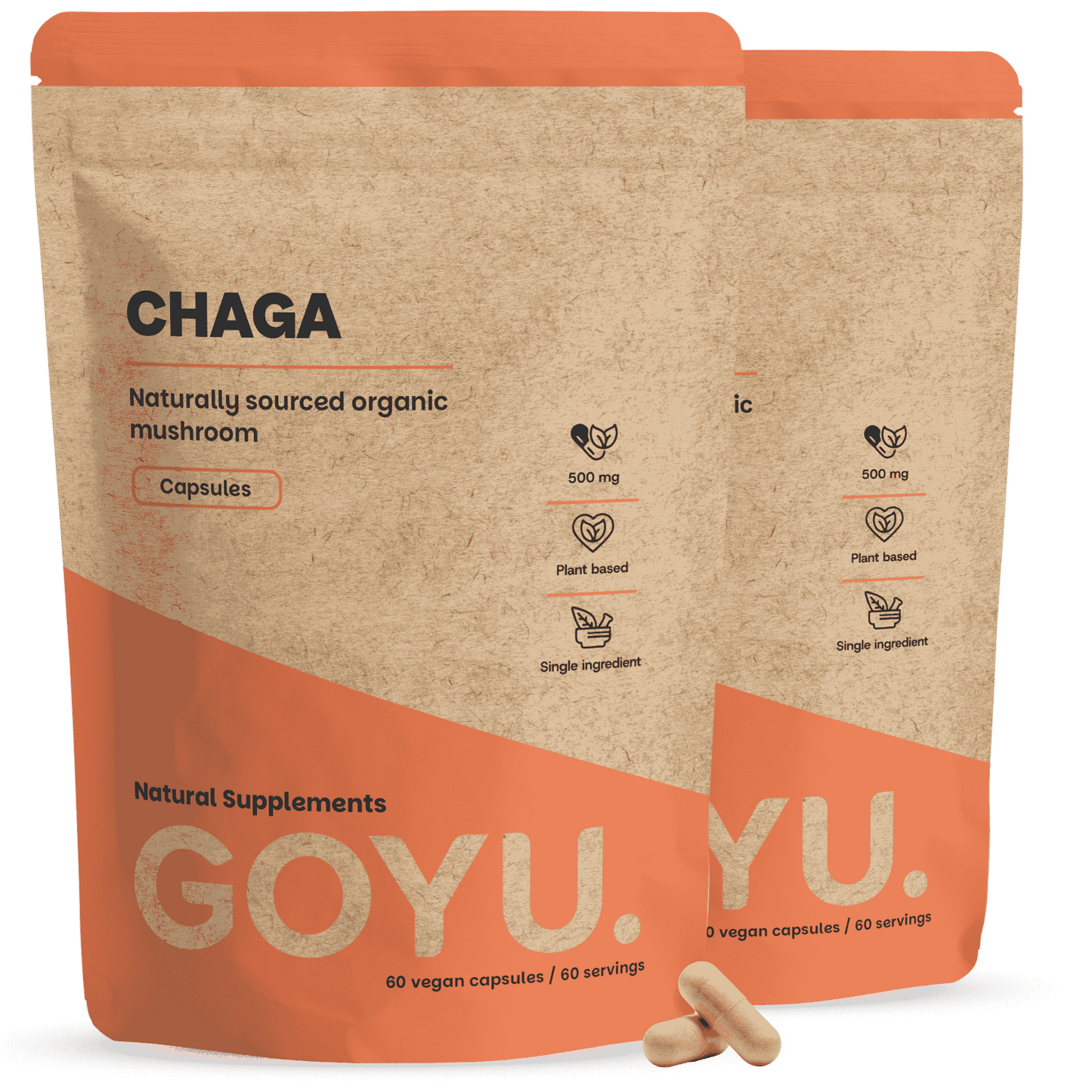 Chaga Kapseln 500 mg Biologisch