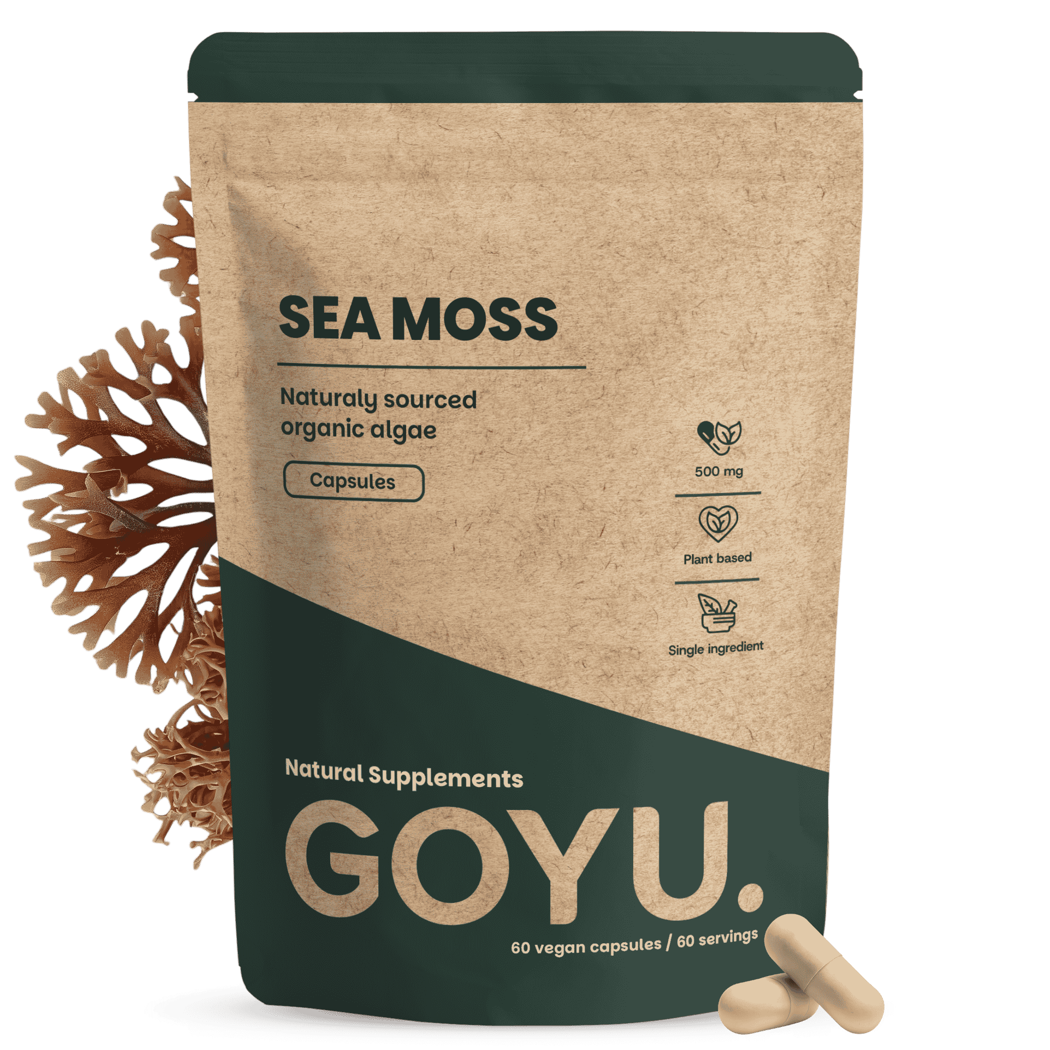Sea Moss Capsules 500 mg Biologisch