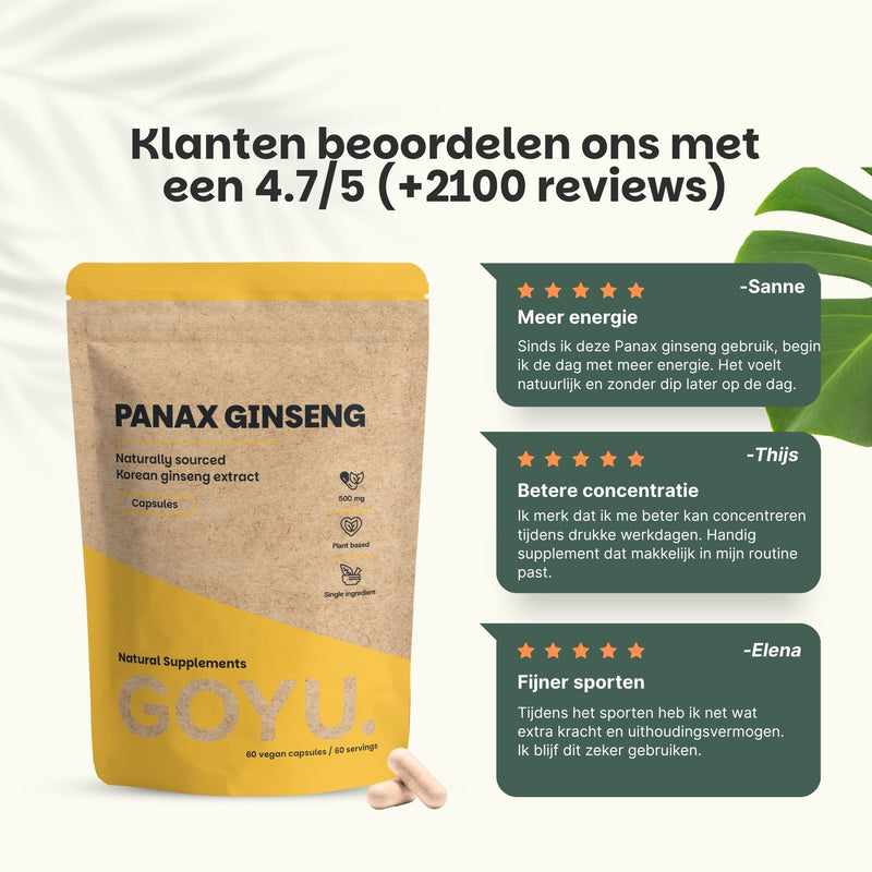 Panax Ginseng capsules goyu supplement superfood