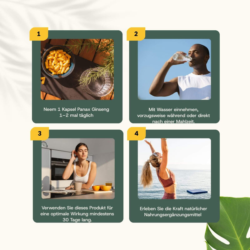 Panax Ginseng capsules goyu supplement superfood