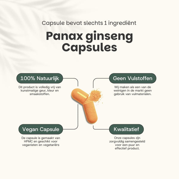 Panax Ginseng capsules goyu supplement superfood