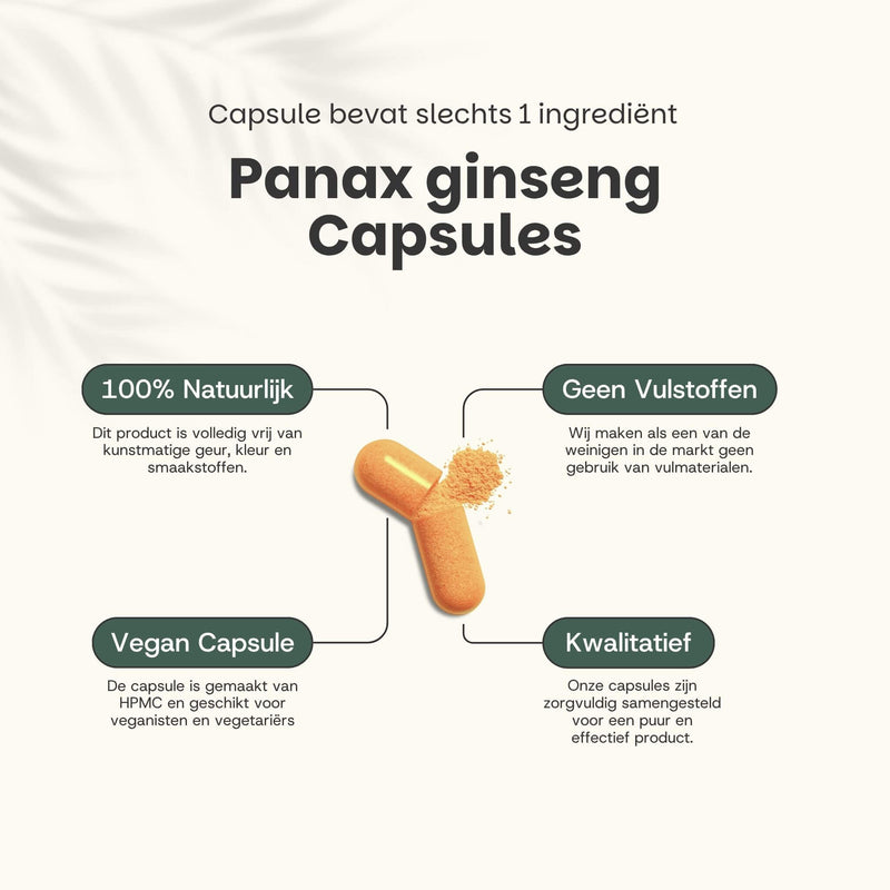 Panax Ginseng capsules goyu supplement superfood
