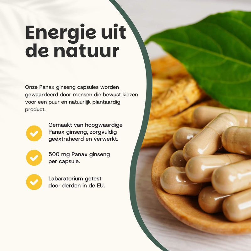 Panax Ginseng capsules goyu supplement superfood