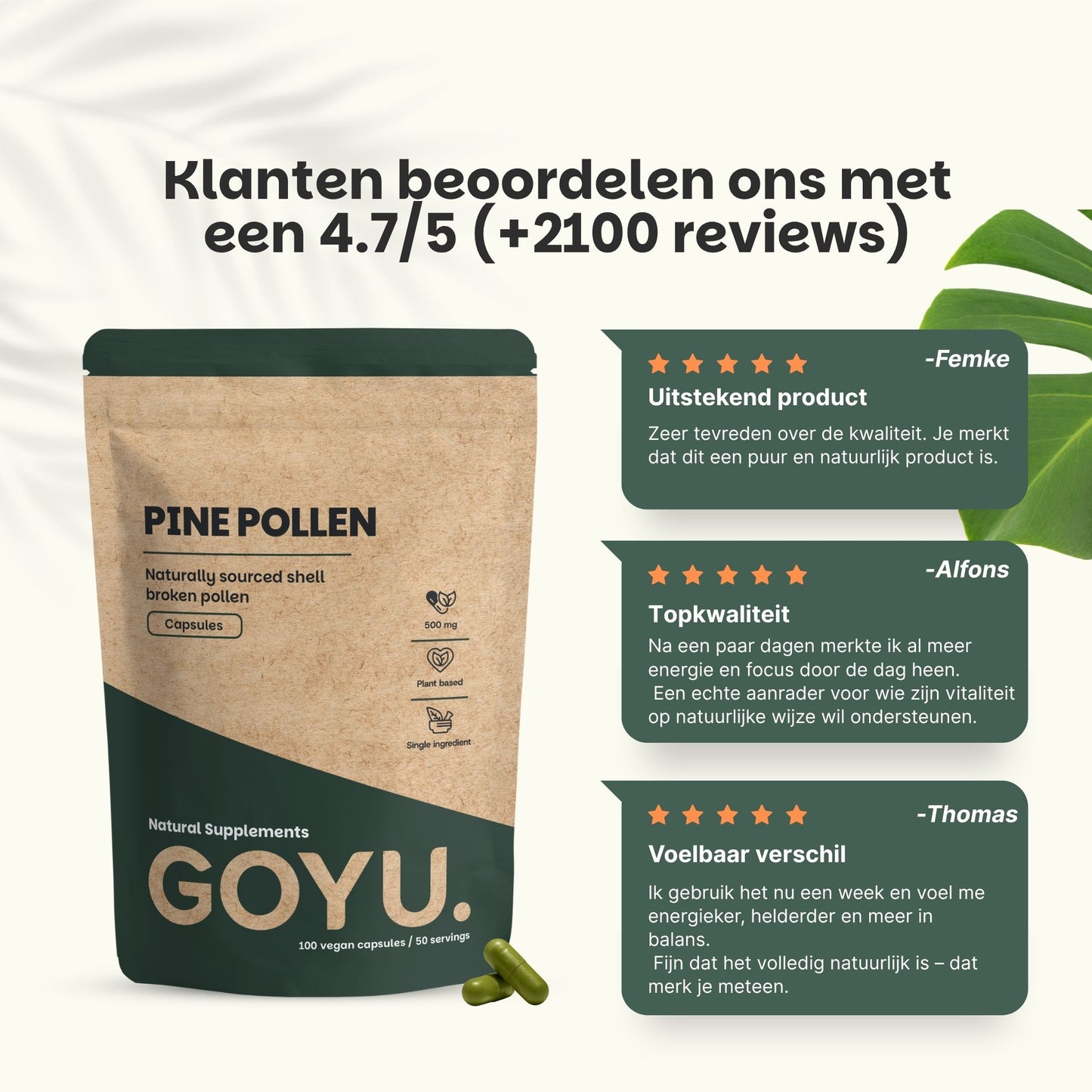 Pine pollen capsules goyu supplement superfood