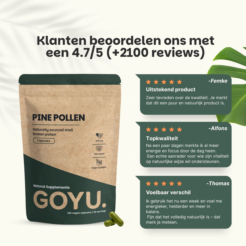 Pine pollen capsules goyu supplement superfood