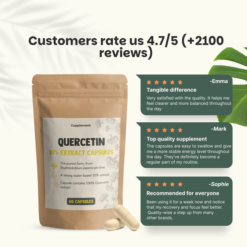 Quercetin Extract Capsules Goyu Supplement Superfood