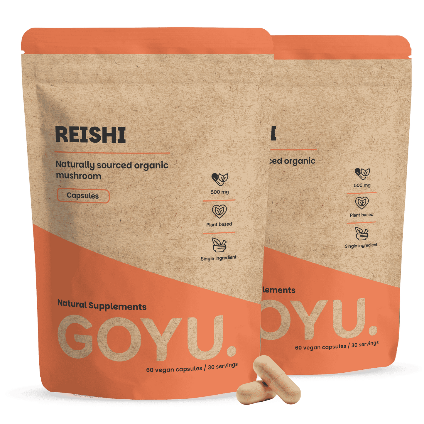 Reishi Capsules 500 mg Biologisch