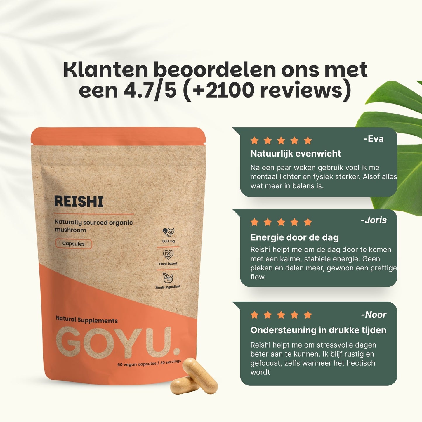 Biologische Reishi capsules goyu supplement superfood