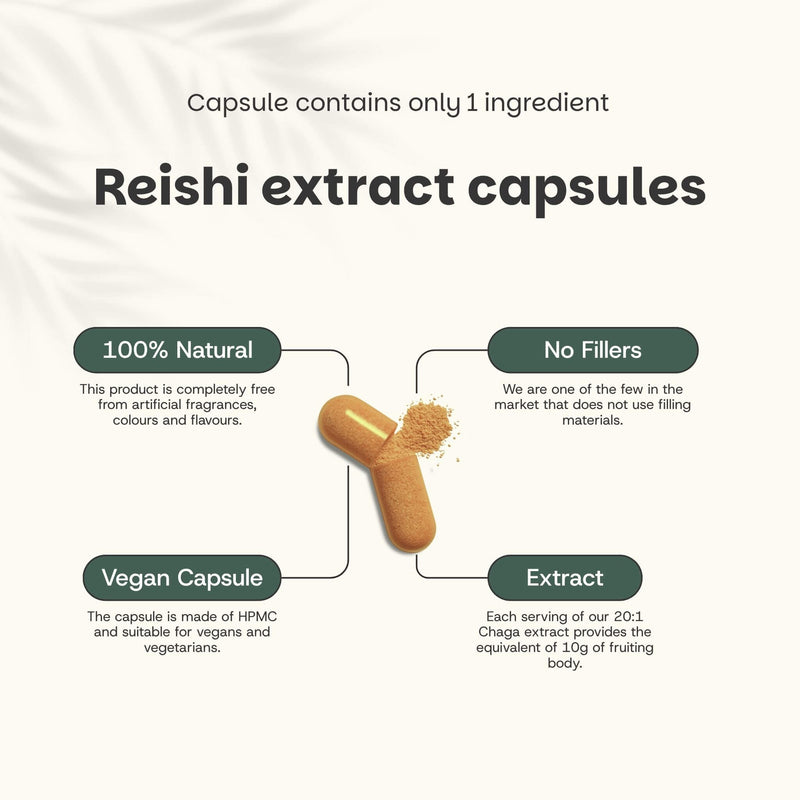 Reishi extract capsules goyu supplement superfood