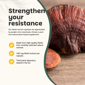 Reishi extract capsules goyu supplement superfood