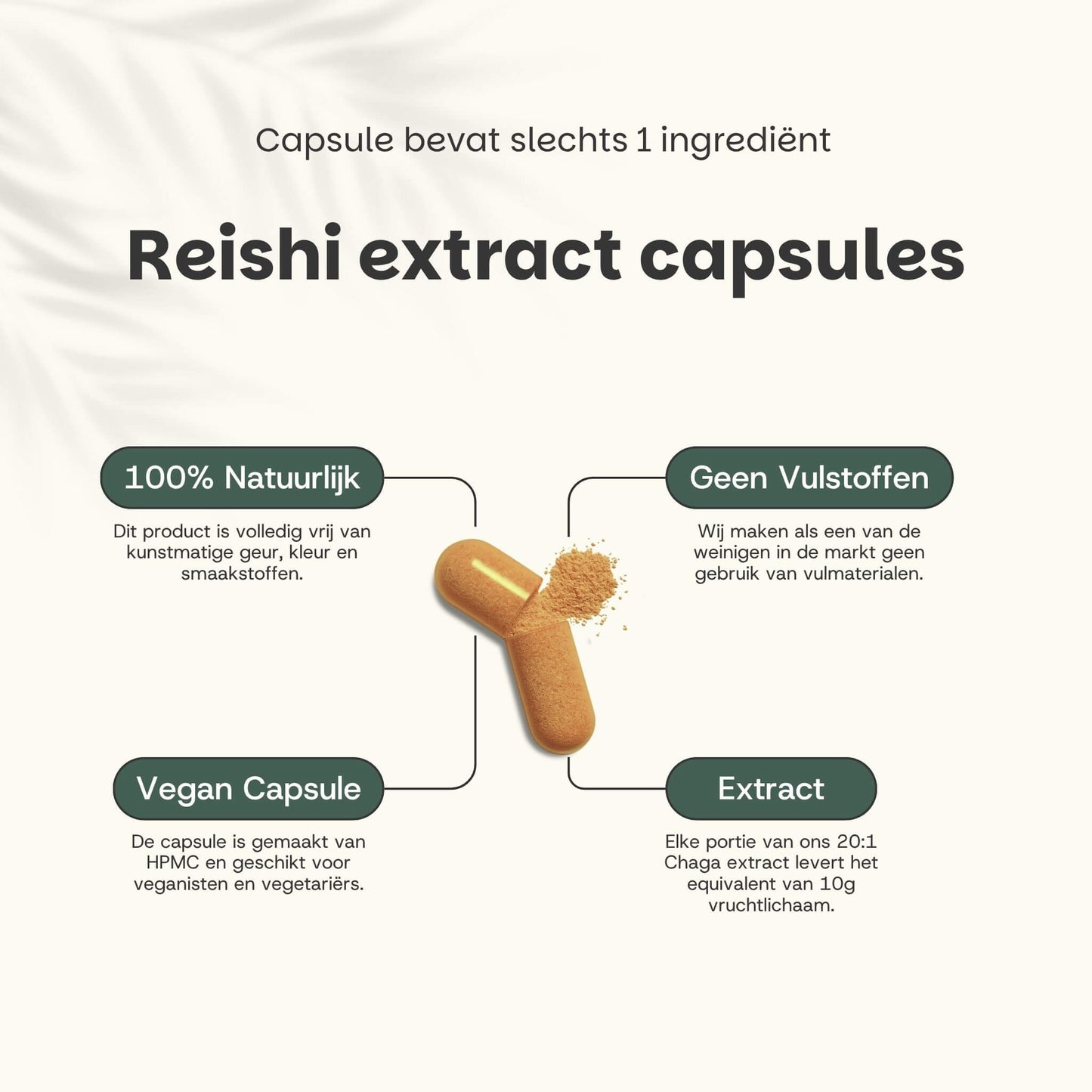 Reishi extract capsules goyu supplement superfood