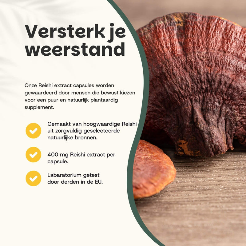 Reishi extract capsules goyu supplement superfood