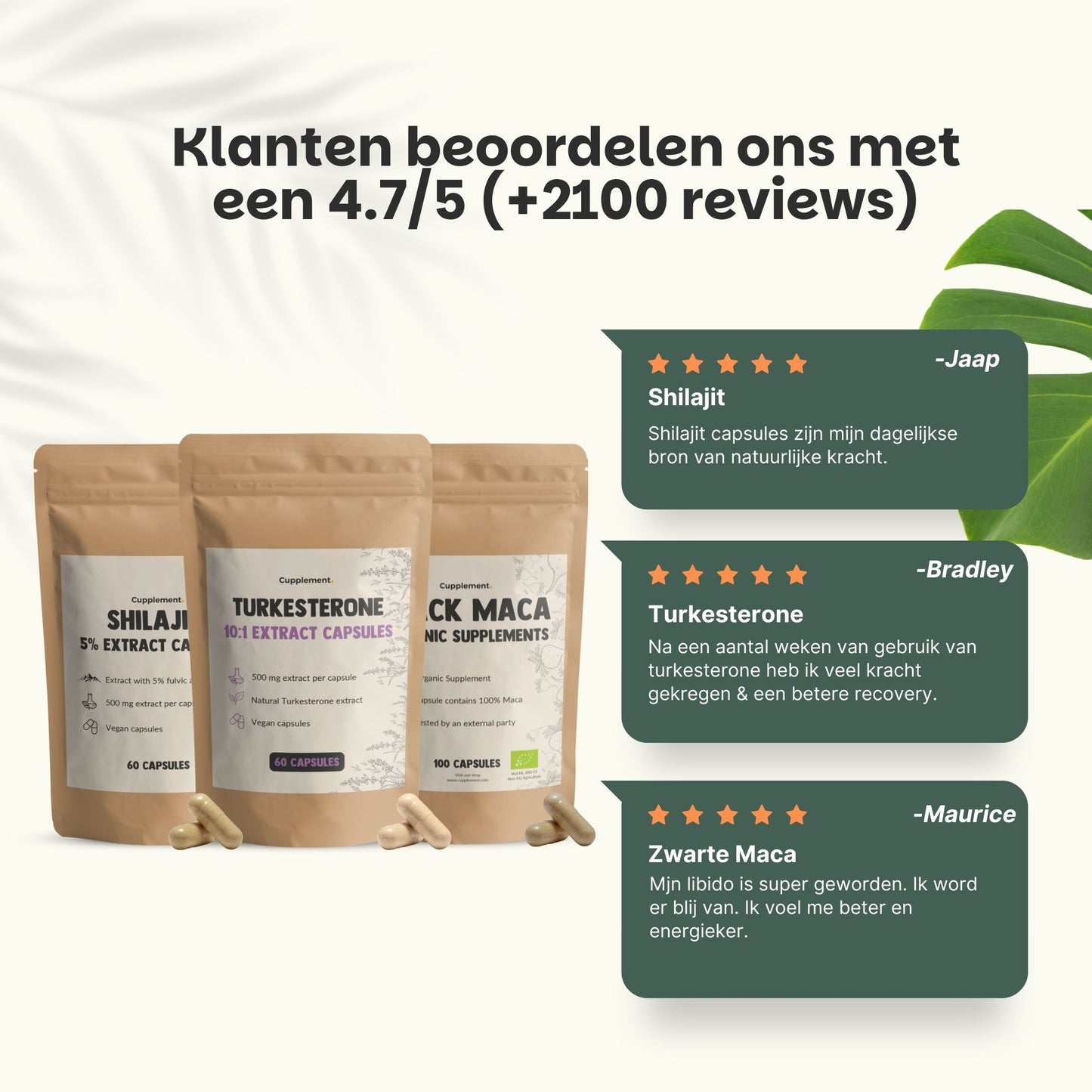 Natural Hormone Bundle 