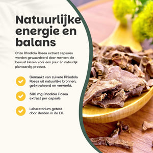 Rhodiola Rosea extract capsules goyu supplement superfood