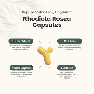 Rhodiola Rosea extract capsules goyu supplement superfood