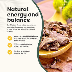 Rhodiola Rosea extract capsules goyu supplement superfood