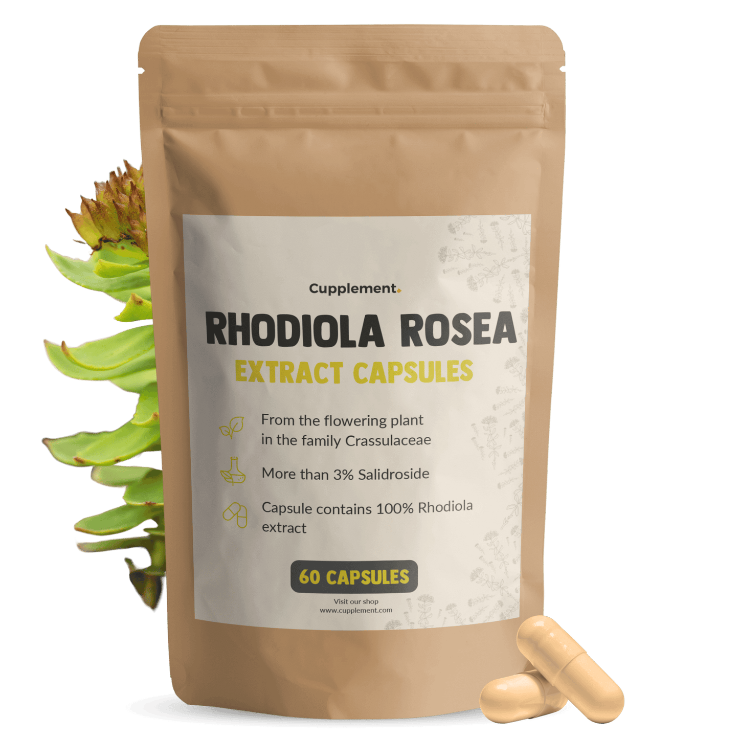 Rhodiola Rosea extract capsules goyu supplement superfood