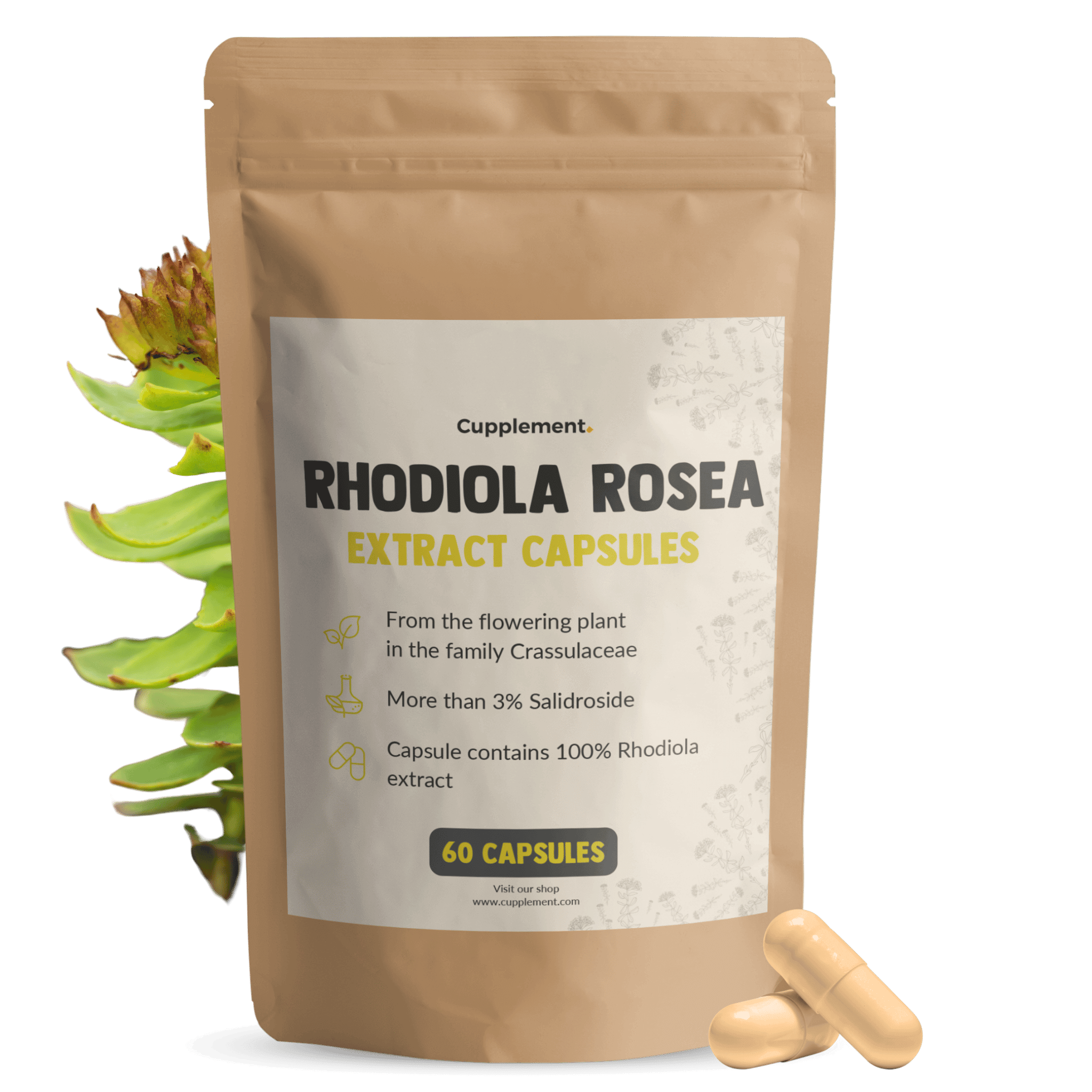 Rhodiola Rosea extract capsules goyu supplement superfood