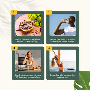 Rhodiola Rosea extract capsules goyu supplement superfood