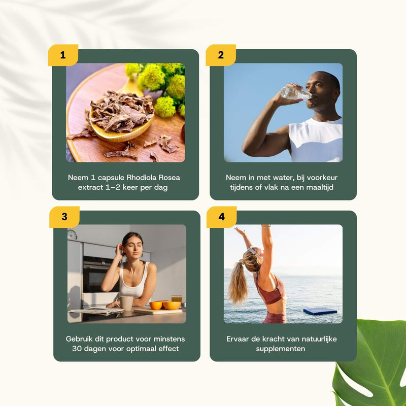 Rhodiola Rosea extract capsules goyu supplement superfood