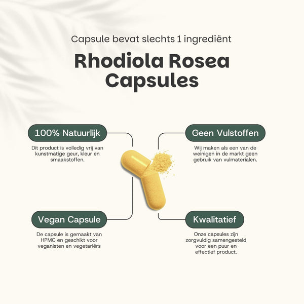 Rhodiola Rosea extract capsules goyu supplement superfood