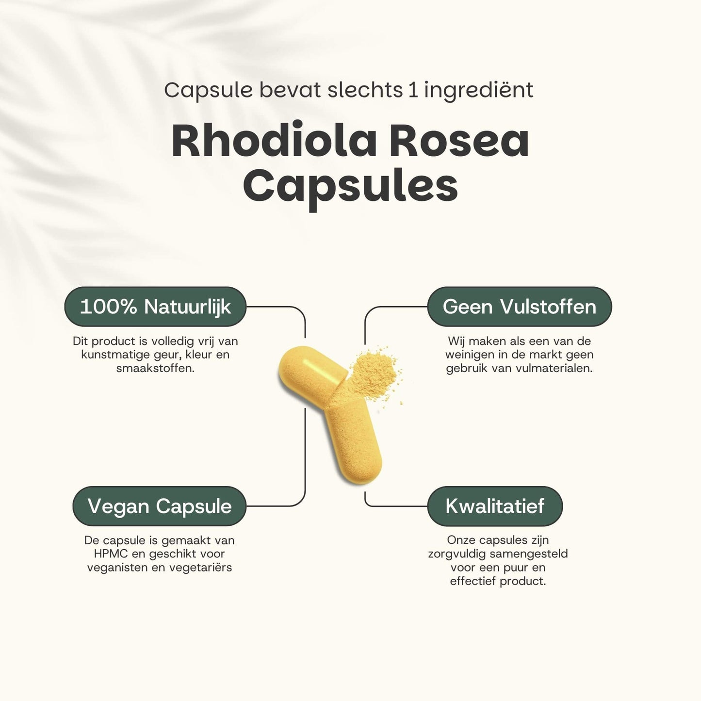 Rhodiola Rosea extract capsules goyu supplement superfood