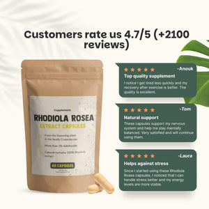 Rhodiola Rosea extract capsules goyu supplement superfood