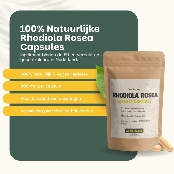 Rhodiola Rosea extract capsules goyu supplement superfood