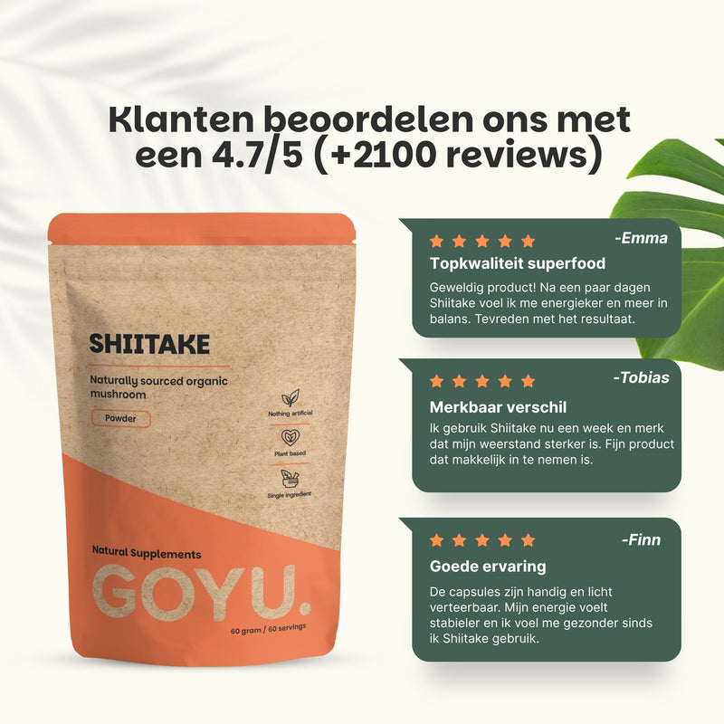 Biologische Shiitake poeder goyu supplement superfood