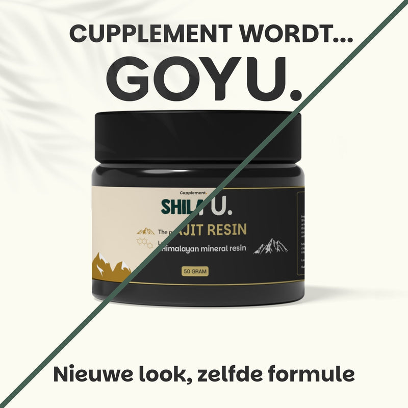 Shilajit Resin
