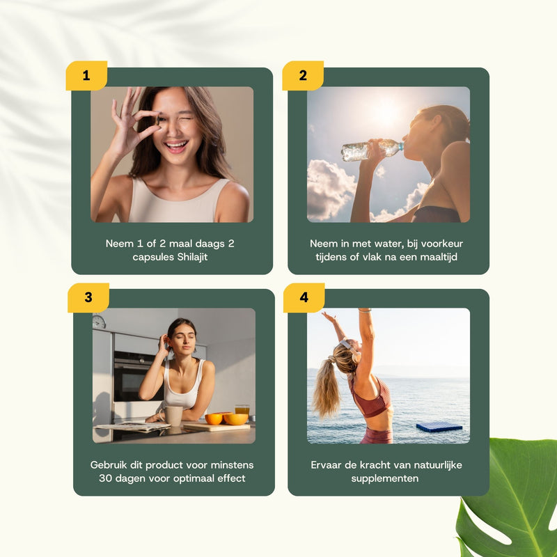 Shilajit extract capsules goyu superfood supplement