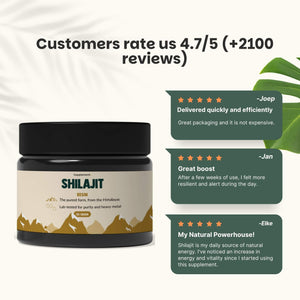 Shilajit resin goyu supplement superfood